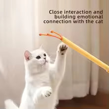 2 In 1 Retractable Cat Teaser Wand Double Sided Massager