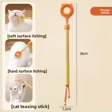 2 In 1 Retractable Cat Teaser Wand Double Sided Massager